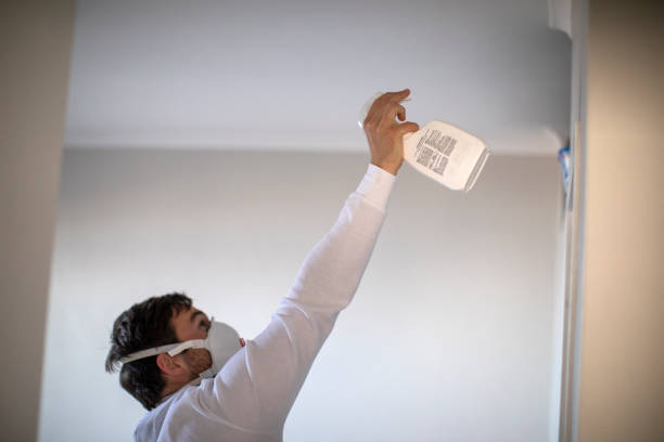 Best Best Mold Removal Companies  in Menonee, MI