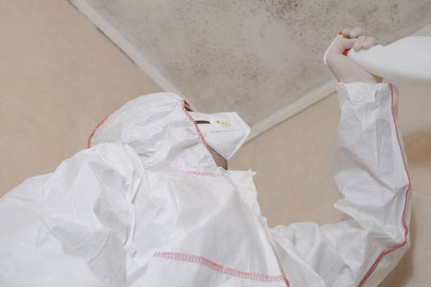 Best Crawl Space Mold Removal  in Menonee, MI